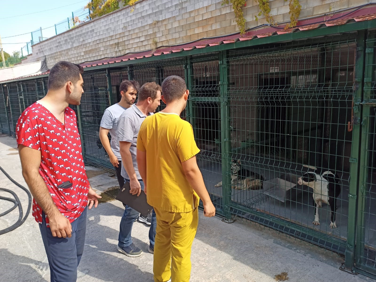 Bilecikte Hayvan Barınaklarında Denetimler Yapıldı
