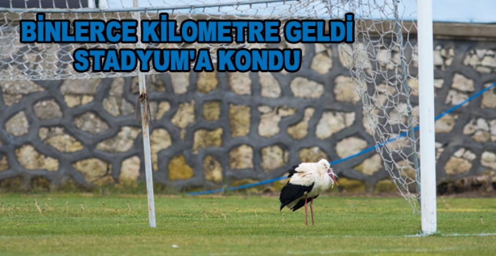 Binlerce Kilometre Geldi Stadyuma Kondu