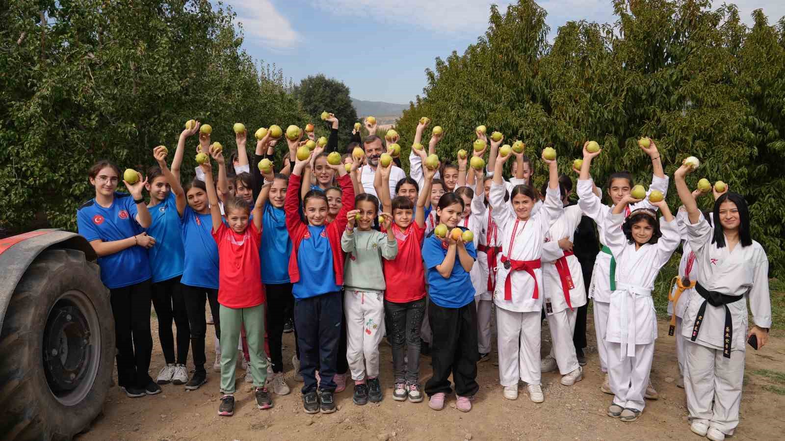 Bizim Elimiz Sadece Armut Toplamaya Kalkar