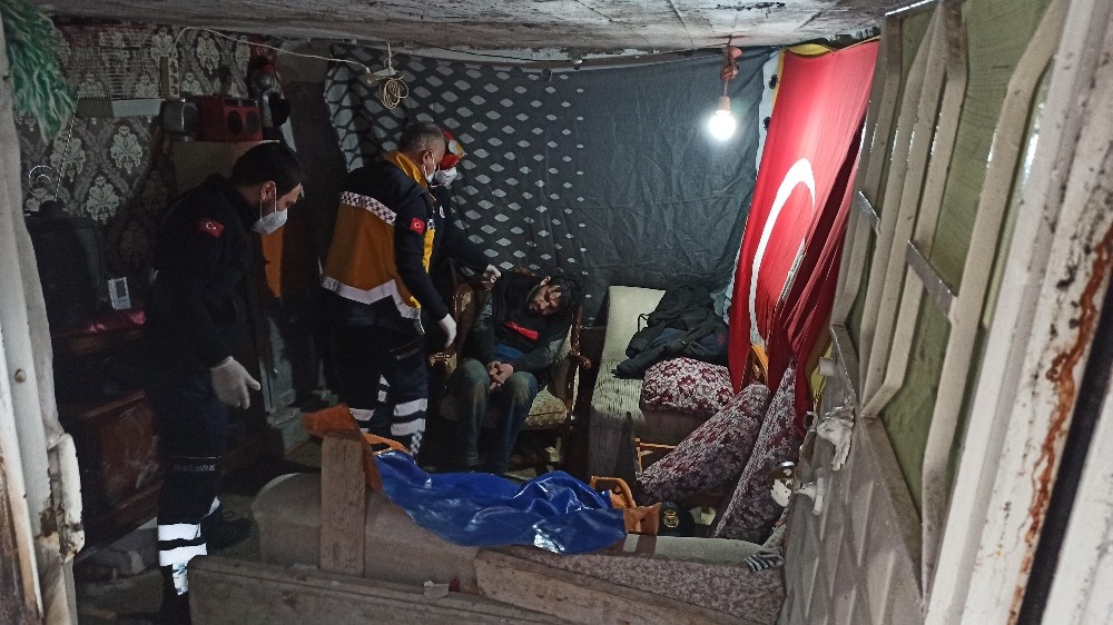 Bodrum'da Can Pazarı