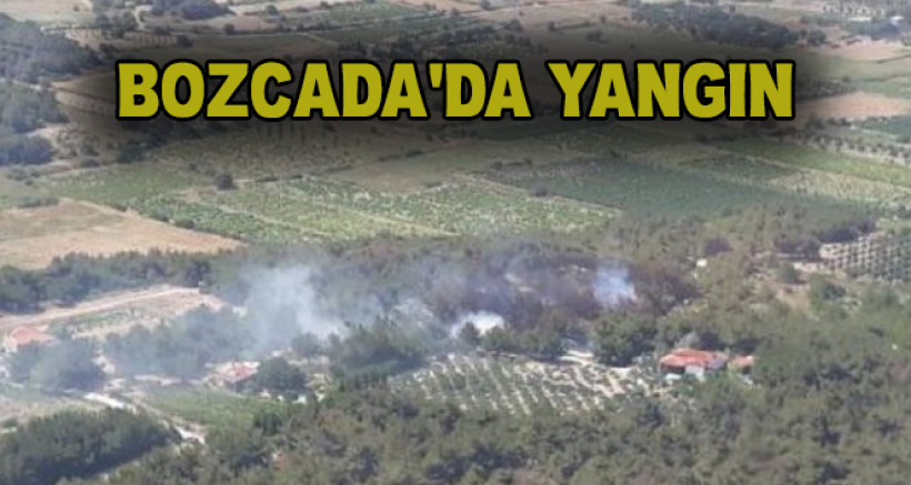 Bozcaada'da Orman Yangını