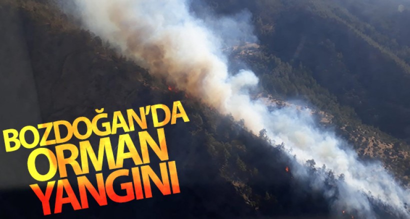 Bozdoğan'da Orman Yangını
