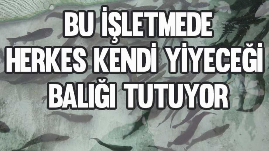 Bu İşletmede Herkes Kendi Yiyeceği Balığı Tutuyor