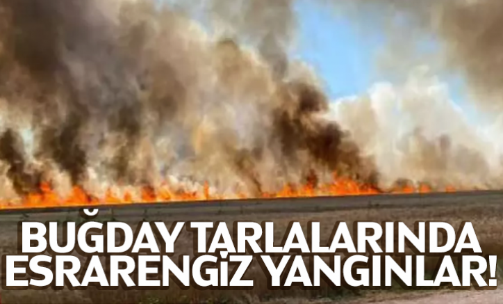 Buğday tarlalarında esrarengiz yangınlar!