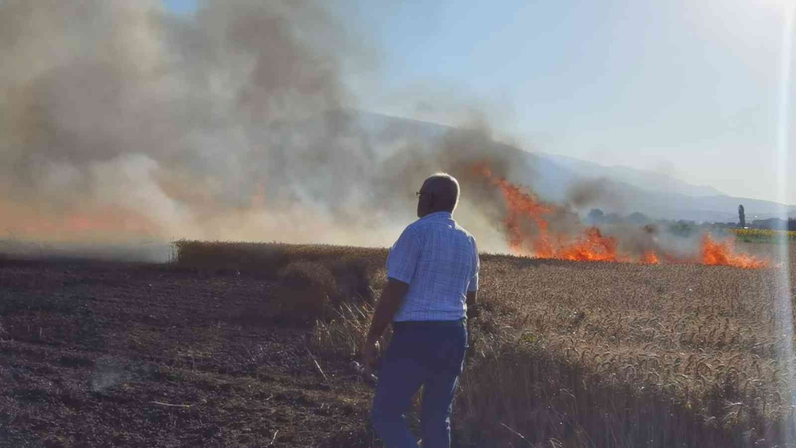 Buğday Tarlası Yangında Küle Döndü