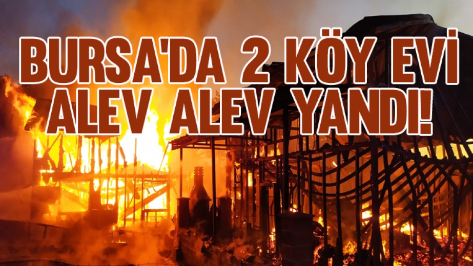 Bursa'da 2 Köy Evi Alev Alev Yandı