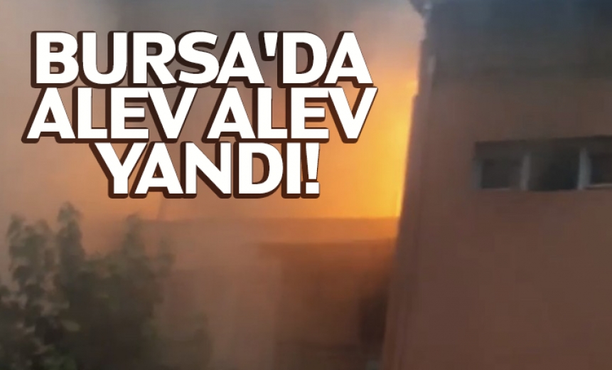 Bursa'da Alev Alev Yandı!