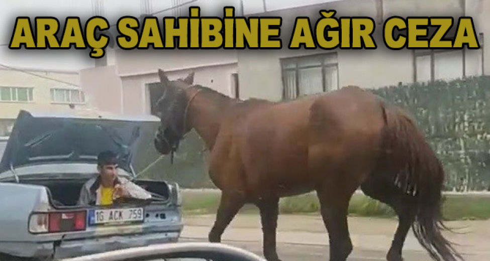 Bursa'da Aracın Arkasına At Bağlayıp Koşturan Şahsa Ağır Ceza