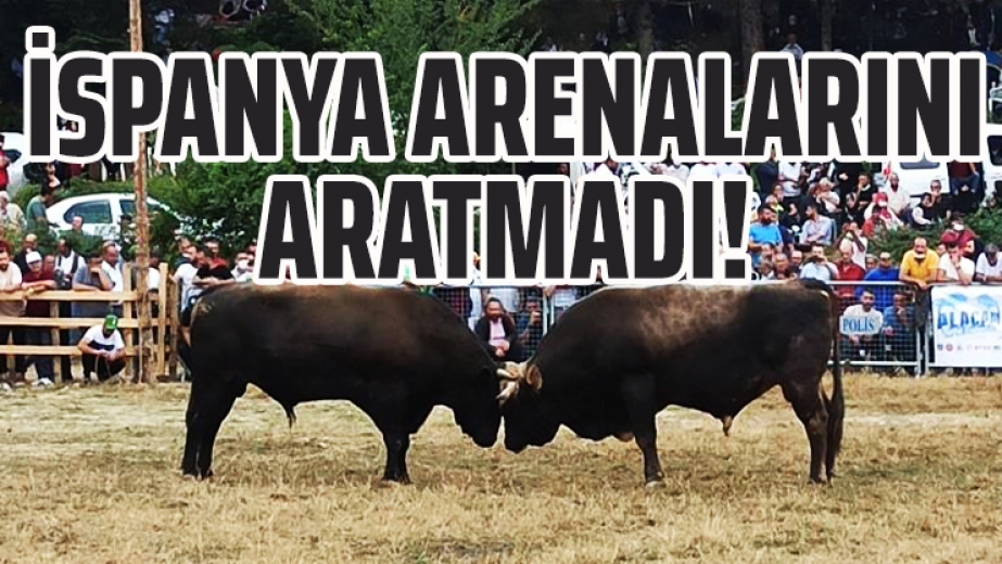 Bursa'da Boğa Güreşleri İspanya Arenalarını Aratmadı