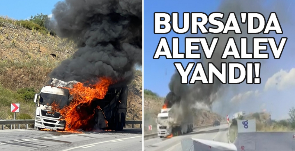 Bursa'da Cam Yüklü Tır Alev Alev Yandı