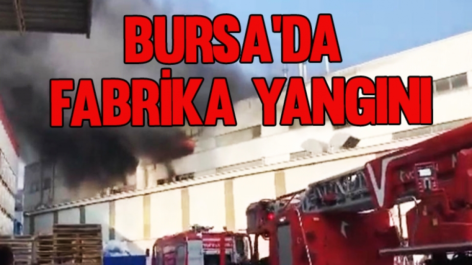 Bursa'da Fabrika Yangını