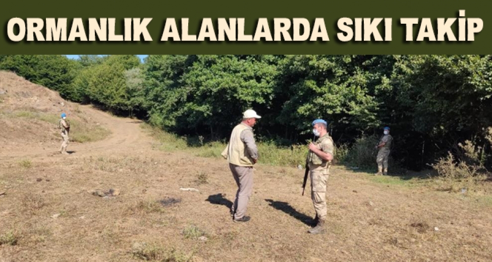 Bursa'da Jandarma Ekiplerinden 24 Saat Orman Nöbeti