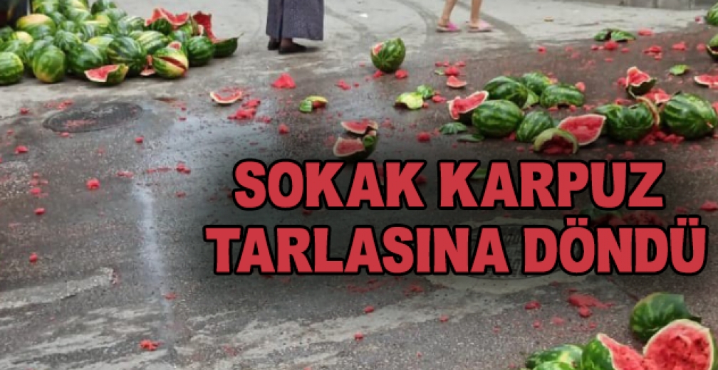 Bursa'da Karpuz Yüklü Kamyon Devrildi
