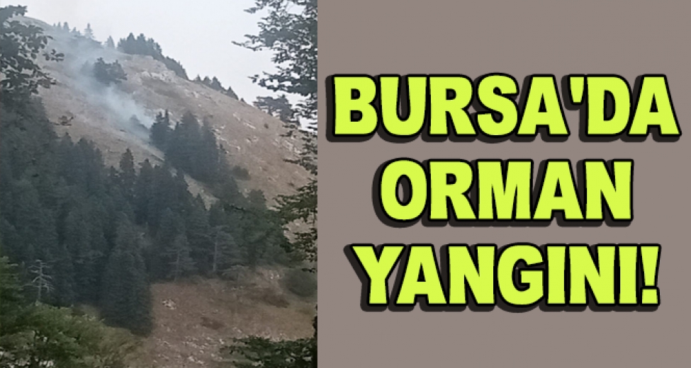 Bursa'da Korkutan Orman Yangını