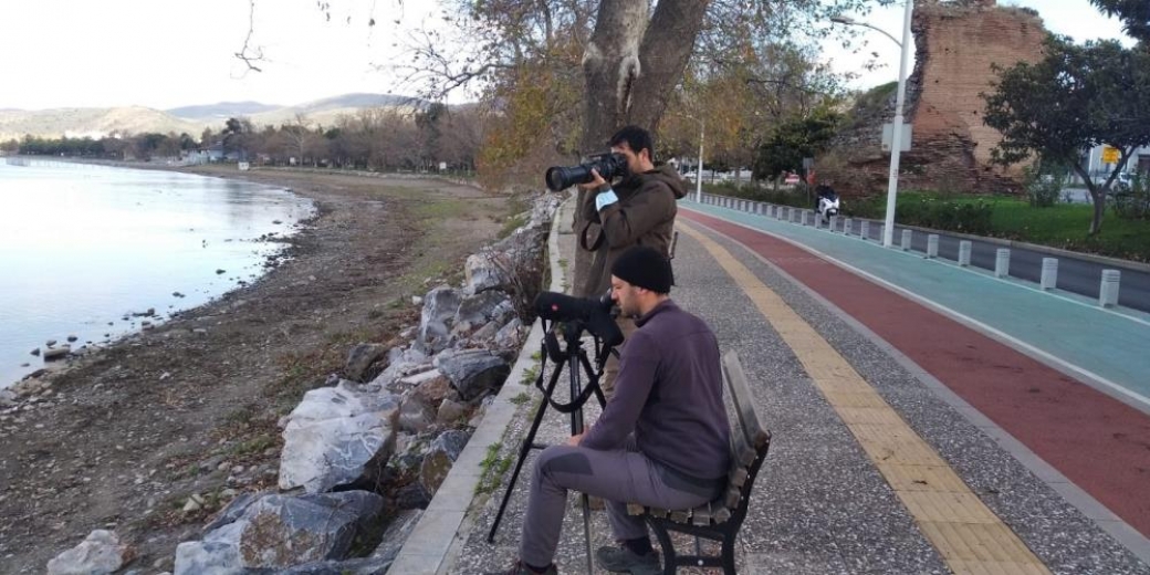 Avrupa Birliği Bursa’daki ördekler için harekete geçti