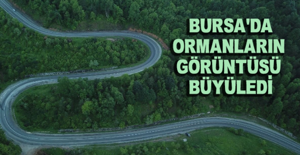 Bursa'da Ormanların Görüntüsü Büyüledi