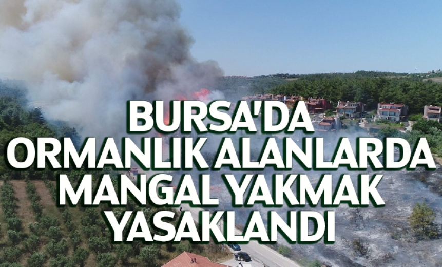 Bursa'da Ormanlık Alanlarda Mangal Yakmak Yasaklandı
