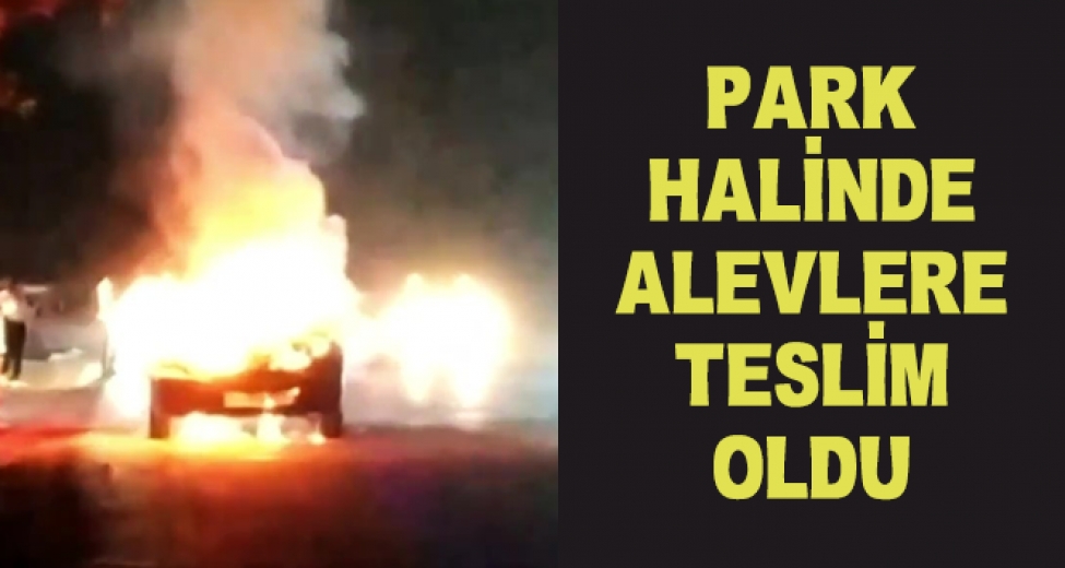 Bursa'da Park Halindeki Otomobil Alev Alev Yandı