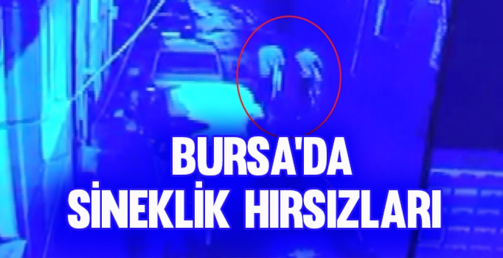 Bursa'da Sineklik Hırsızları