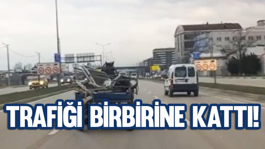 Bursa'da Sürücüsüz At Arabası Trafiği Birbirine Kattı
