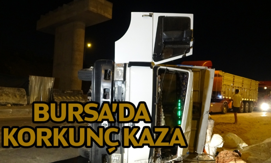 Bursa'da Talaş Yüklü Kamyon Devrildi