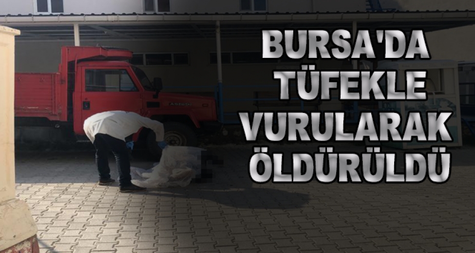 Bursa'da Tüfekle Vurularak Öldürüldü