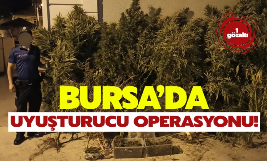 Bursa'da Uyuşturucu Operasyonu