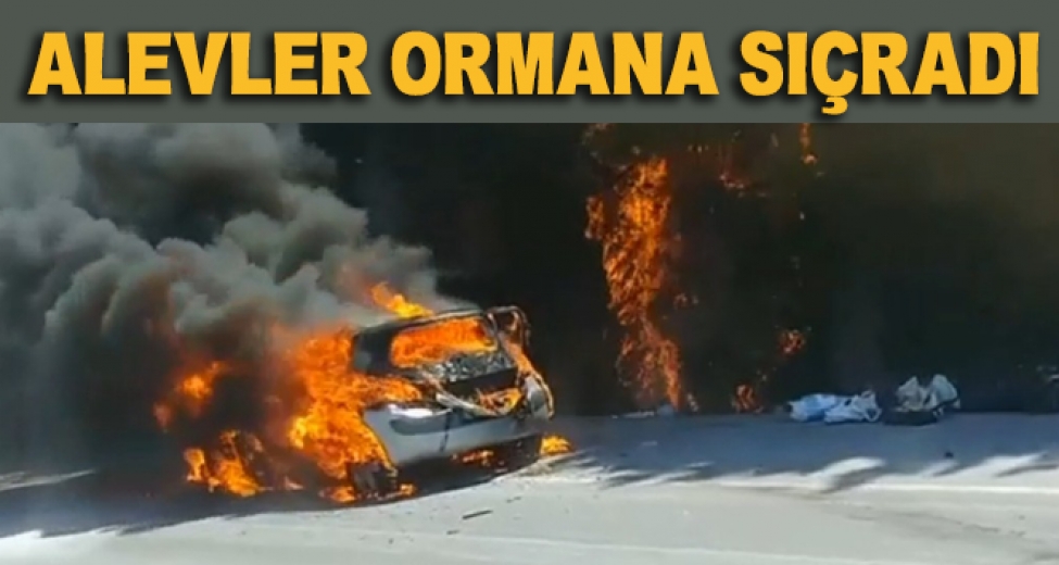 Bursa'da Yanan Otomobildeki Alevler Ormana Sıçradı