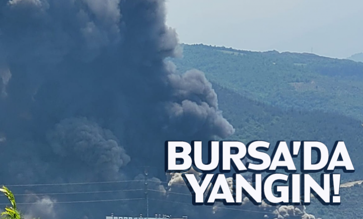Bursa'da Yangın!