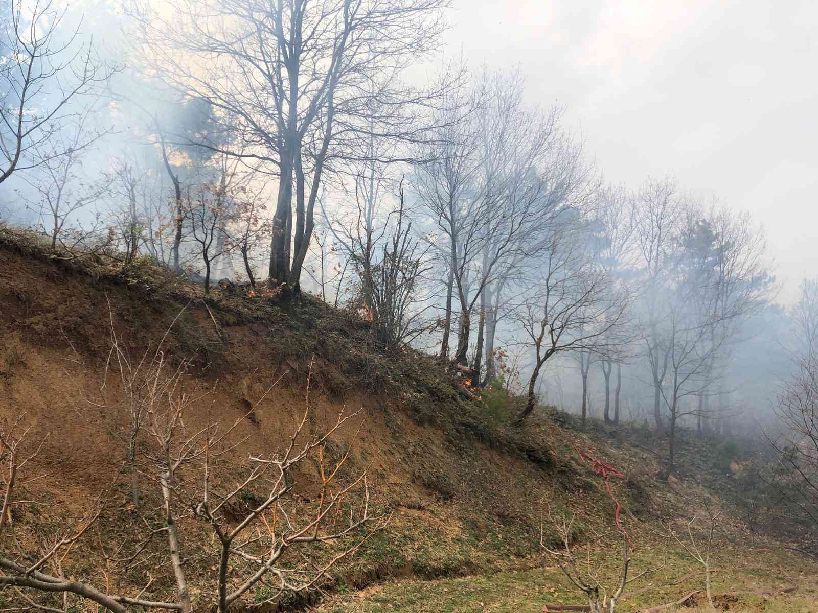 Bursa Dağyenicede Orman Yangını