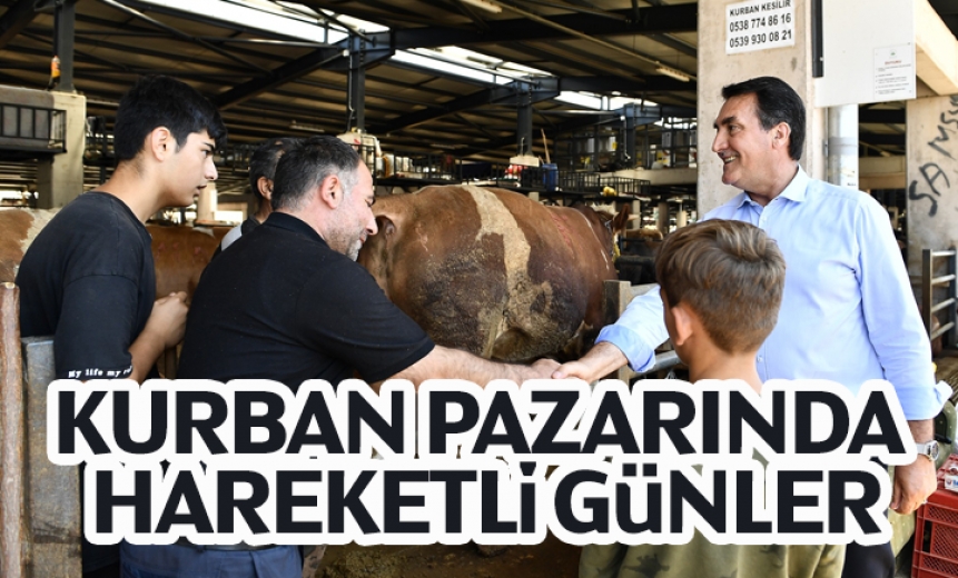Bursa Kurban Pazarında Hareketli Günler
