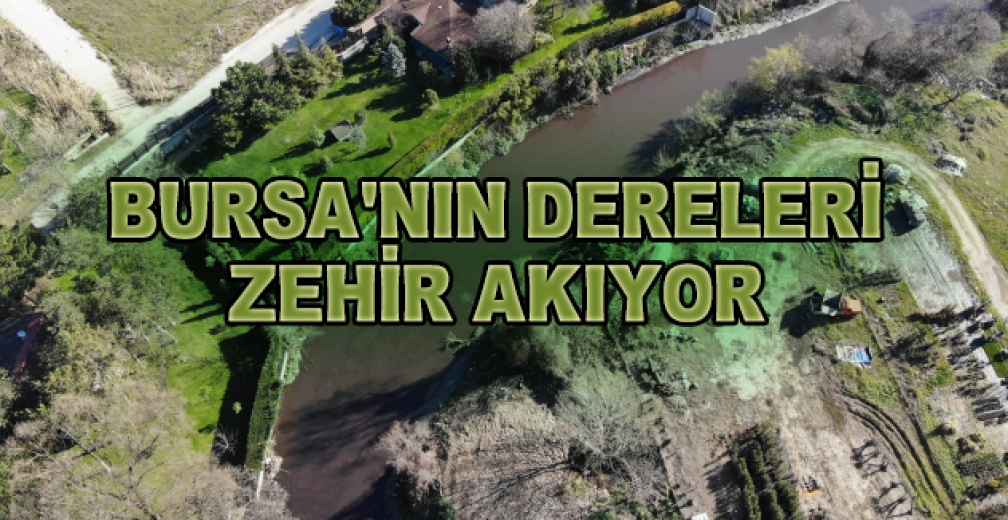 Bursa'nın Dereleri Zehir Akıyor