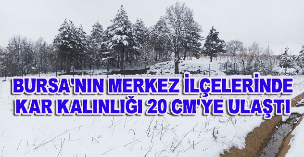 Bursa'nın Merkez İlçelerinde Kar Kalınlığı 20 Santimetreye Ulaştı