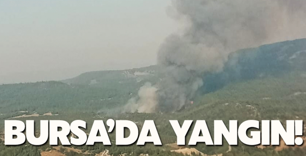 Bursa'nın Orhaneli İlçesinde Orman Yangını