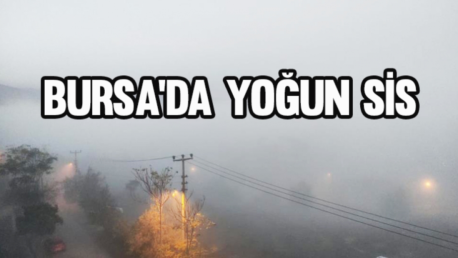 Bursa Yoğun Sis Hayatı Olumsuz Etkiledi