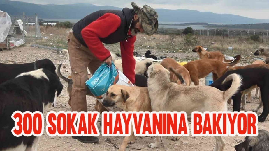 Bursada 16 Gönüllü, Kurdukları Barınakta 300 Sokak Hayvanına Bakıyor