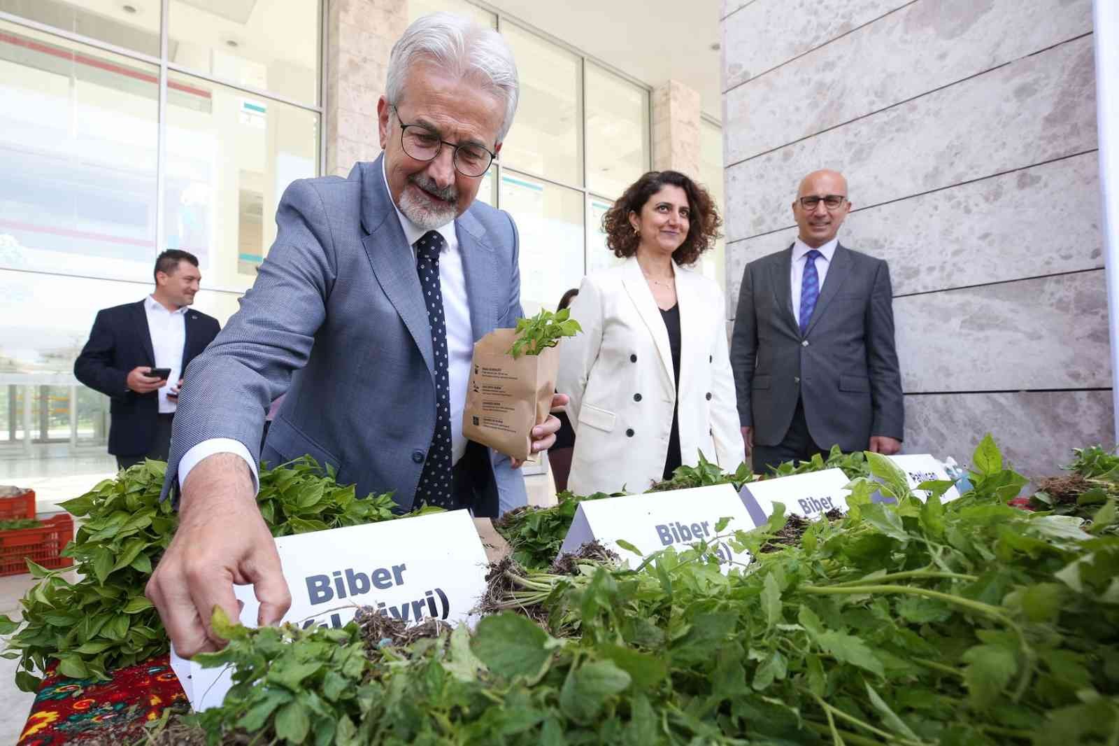 Bursada 400 Bin Fide Toprakla Buluşacak