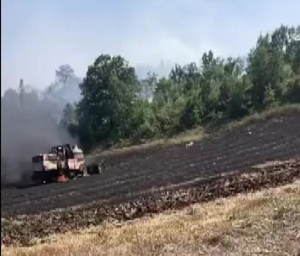 Bursada Anız Yakan Çitçiye Ceza