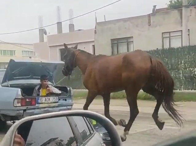 Bursada Aracın Arkasına At Bağlayıp Çevre Yolunda Koşturdu