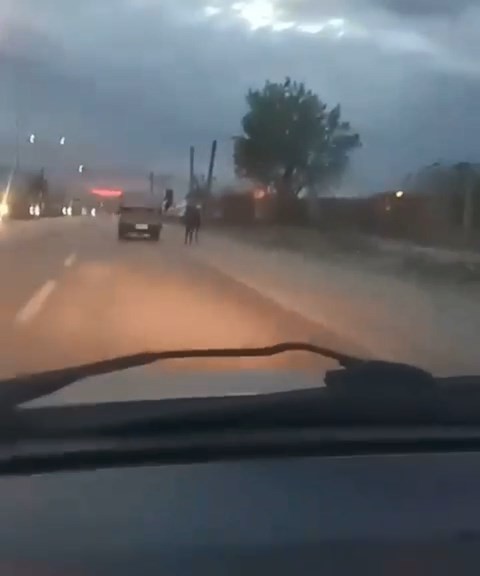 Bursa'da Atı Kamyonetle Böyle Sürüklediler