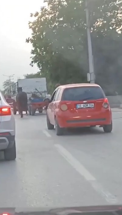 Bursada Atlara Eziyet Kamerada: Kamyonetin Arkasına Bağladığı 4 Atı Böyle Götürdü