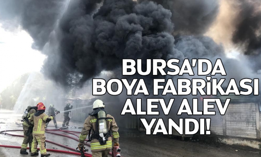 Bursada Boya Fabrikası Alev Alev Yandı