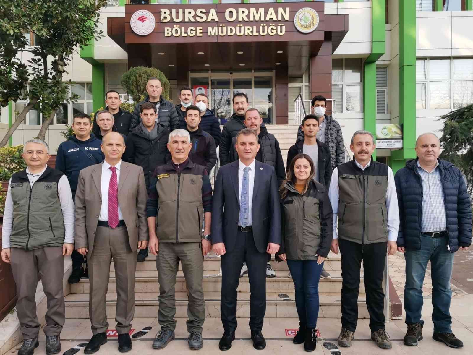 Bursa'da Defne Üretimine Yakın Markaj