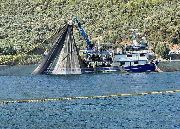 Bursada Denize Deneme Ağları Atıldı