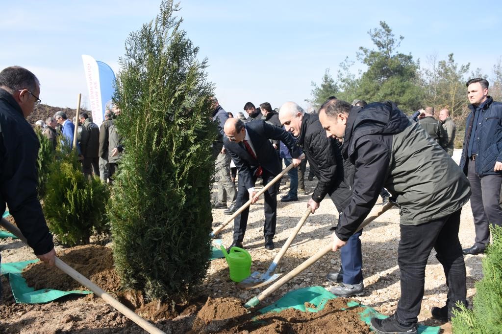 Bursada Depremde Hayatını Kaybeden Vatandaşların Anısına 8 Bin Fidan Dikildi