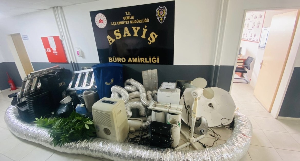 Bursada Evini Uyuşturucu Serasına Çeviren Şüpheli Gözaltına Alındı
