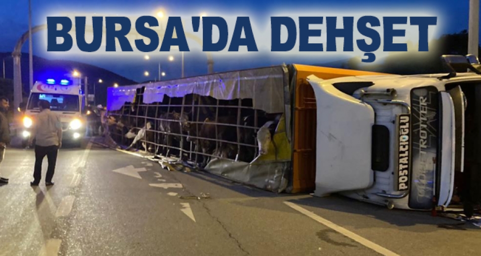 Bursada Feci Kaza: 1 Ölü, 1İ Bebek 2 Ağır Yaralı