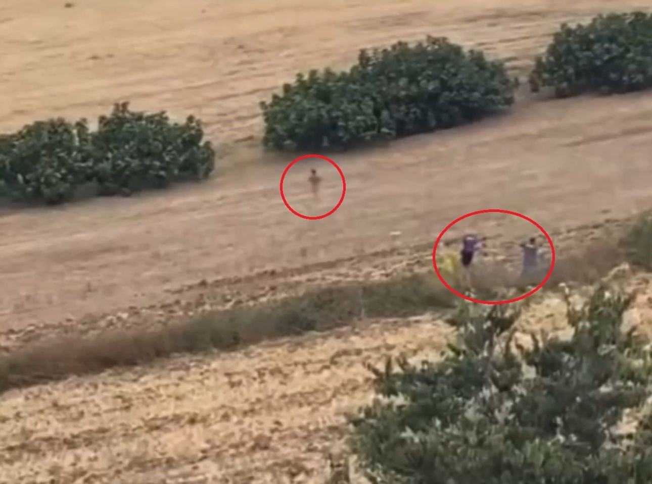Bursada Filmleri Aratmayan Kovalamaca: Şüpheli Kaçtı, Polis Tarlada Kovaladı