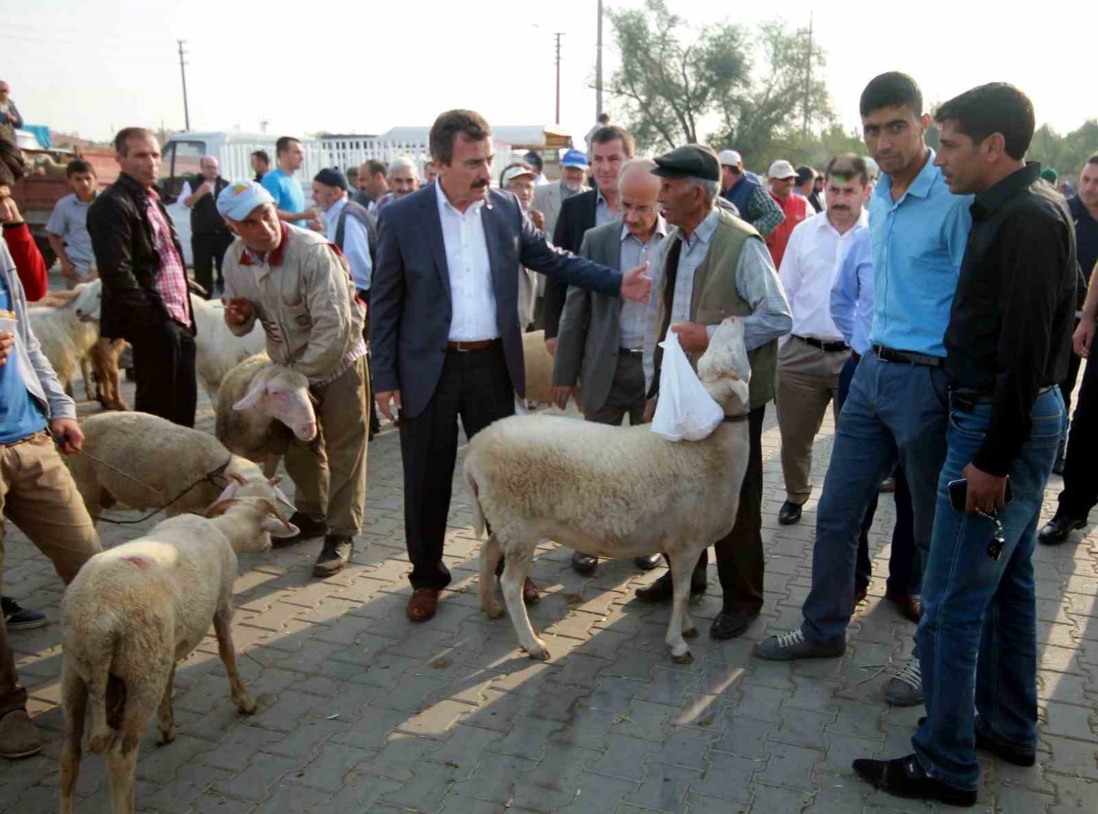 Bursada Hayvan Pazarları Açılıyor