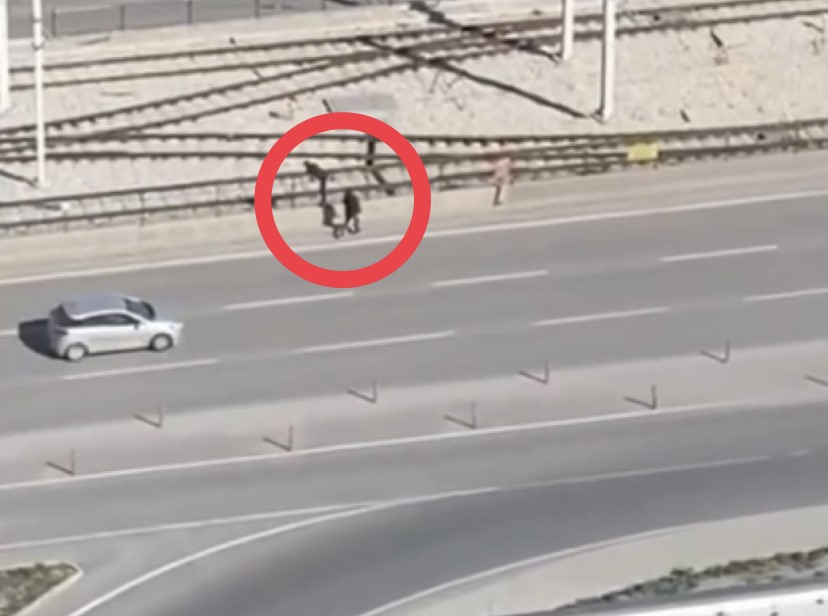 Bursa'da mazgal hırsızları işbaşında!